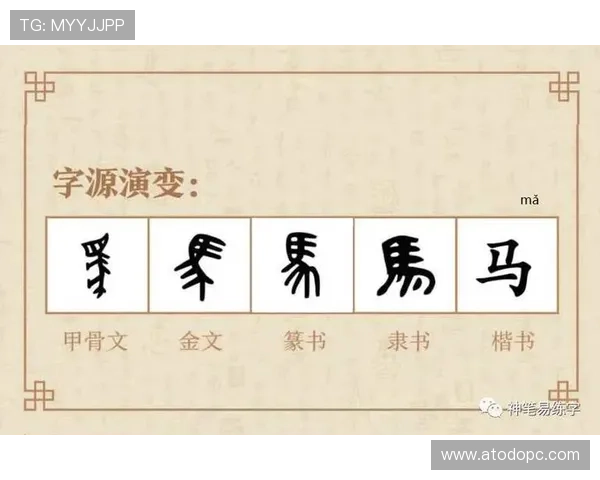 马年细数带马字的传奇球员故事